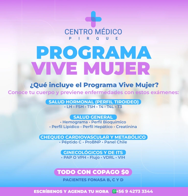 movil-vivemujer-cmpirque