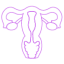 icon-matrona-cmpirquecl